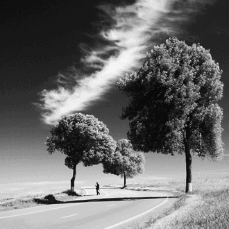 Larna Jensen-Mccloy Law